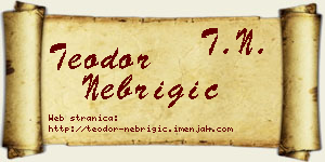 Teodor Nebrigić vizit kartica